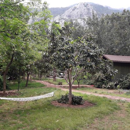 Kibala Hotel Чирали Экстерьер фото