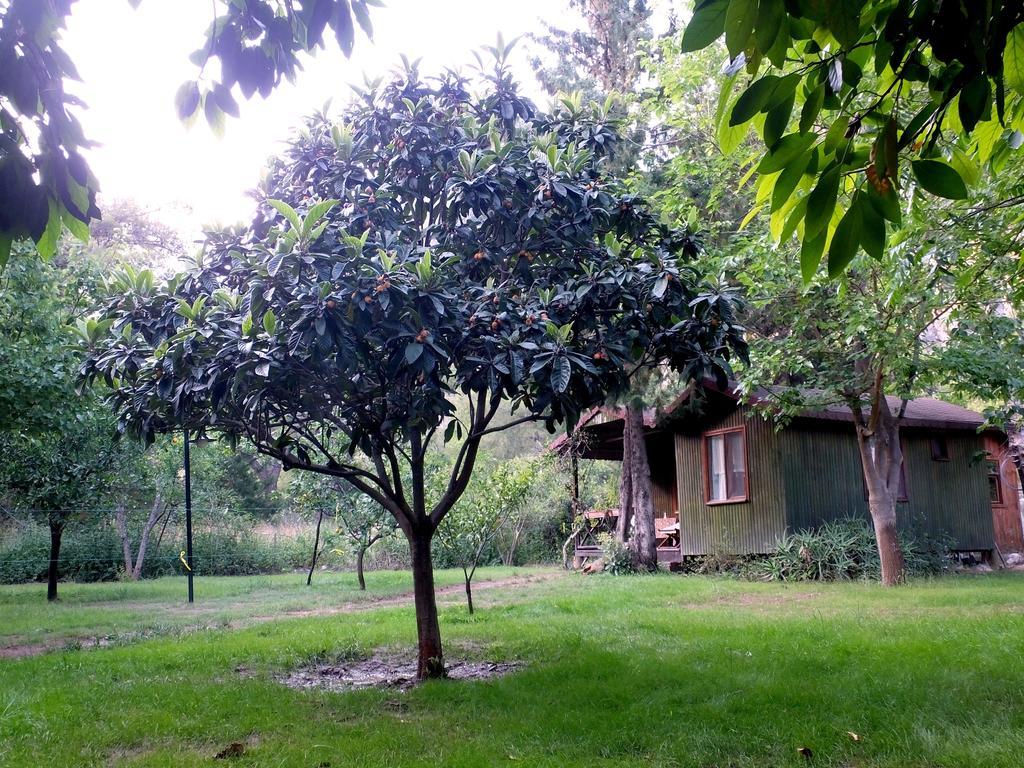 Kibala Hotel Чирали Экстерьер фото