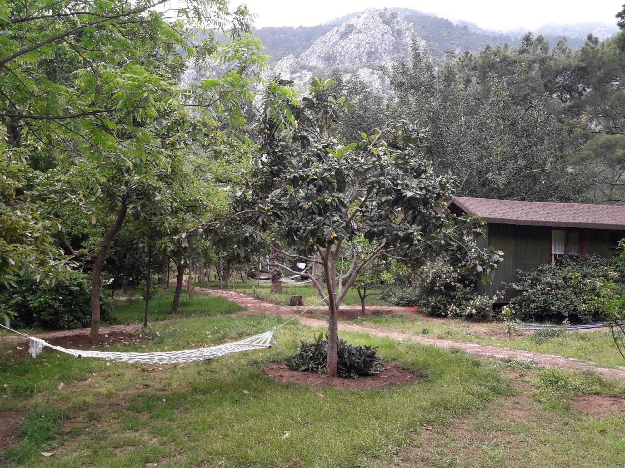 Kibala Hotel Чирали Экстерьер фото